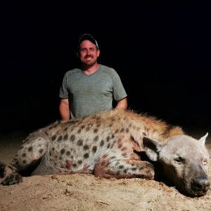 Hyena Hunt Mozambique