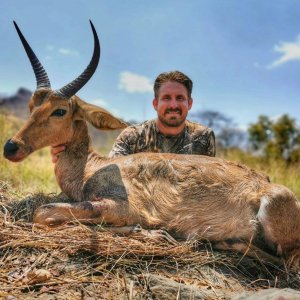 Reedbuck Hunt Mozambique