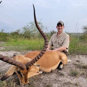 Impala Hunt Uganda