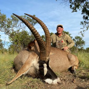 Roan Hunting South Africa