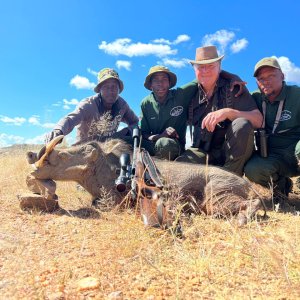 Warthog Hunting Namibia