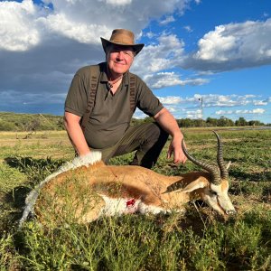 Springbok Hunting Namibia