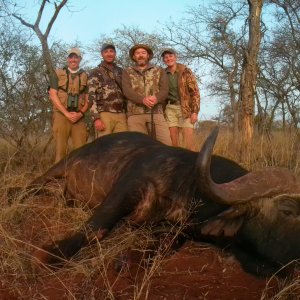 Buffalo Hunt South Africa