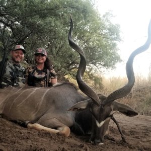 Kudu Hunting South Africa