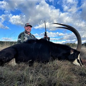 Sable Hunting South Africa