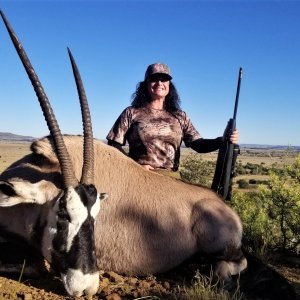 Gemsbok Hunting South Africa