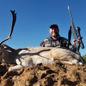 Fallow Deer Hunting South Africa