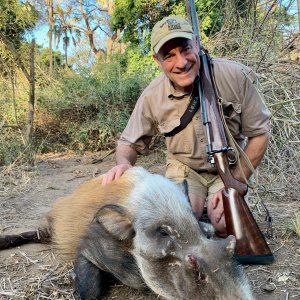 Bushpig Hunt