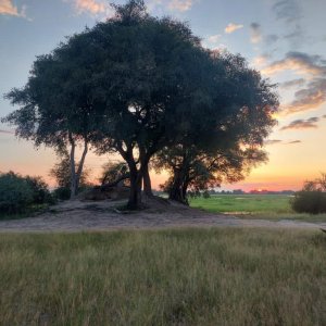 Scenery Bwabwata West Namibia