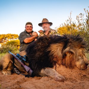 Lion Hunt Kalahari South Africa