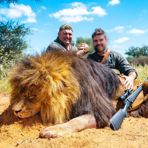 Lion Hunt Kalahari South Africa