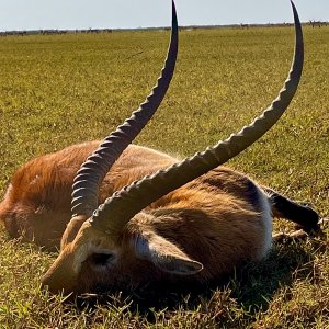 Lechwe Hunt Zambia