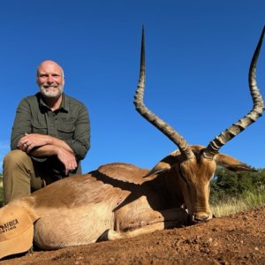 Impala Hunt South Africa