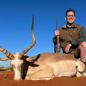 Impala Hunt South Africa