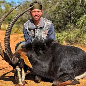 Sable Hunt South Africa