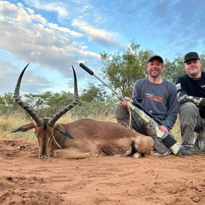 Impala Hunt South Africa