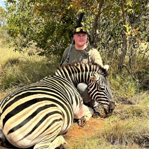 Zebra Hunt South Africa