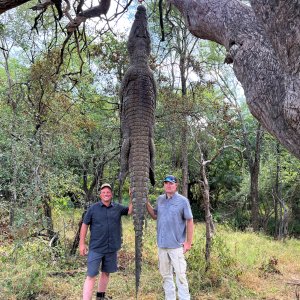 Crocodile Hunt Limpopo South Africa