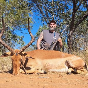 Impala Hunt South Africa