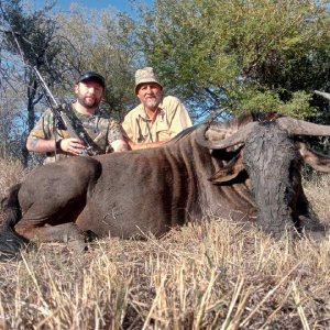 Blue Wildebeest Hunt South Africa