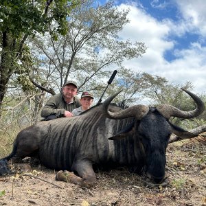 Blue Wildebeest Hunt South Africa