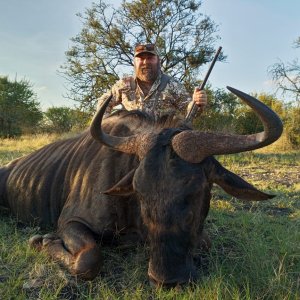 Blue Wildebeest Hunt South Africa