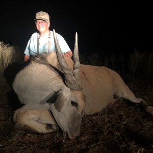 Eland Hunt Namibia