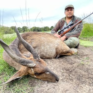 Bushbuck Hunt Eastern Cape South Africa