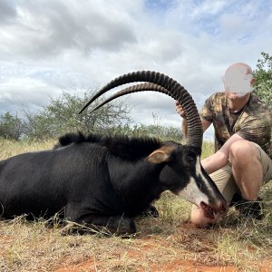 Sable Hunt South Africa