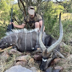 Nyala Hunt South Africa