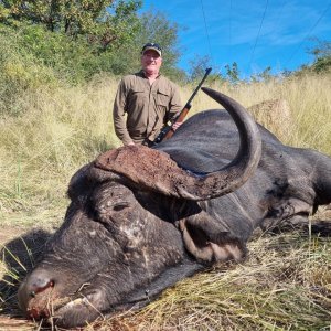 Buffalo Hunting South Africa