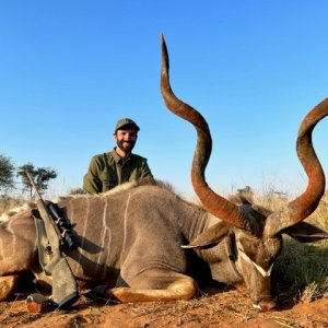 Kudu Hunt South Africa