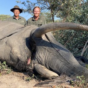 Hunting Elephant Botswana