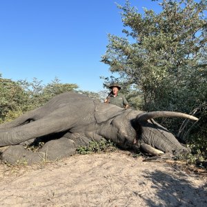 Hunting Elephant Botswana