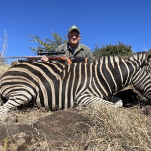 Zebra Hunt Eastern Cape South Africa