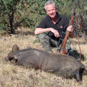 Hog Hunting