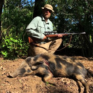 Pig Hunting