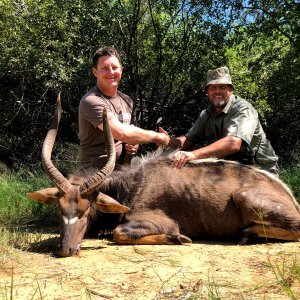 Nyala Hunt South Africa