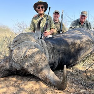 Buffalo Hunt South Africa