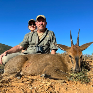 Hunting Duiker South Africa