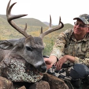 Coues Deer Hunting