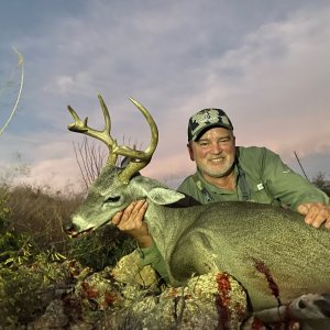 Coues Deer Hunting