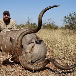 Kudu Hunting South Africa