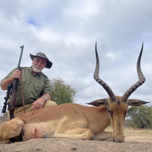 Impala Hunt South Africa