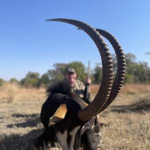 Sable Hunt South Africa