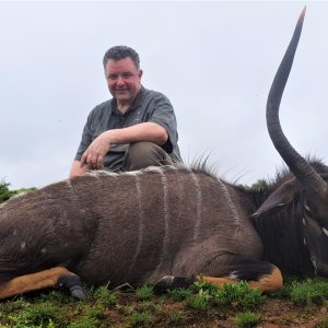 Hunting Nyala Eastern Cape South Africa