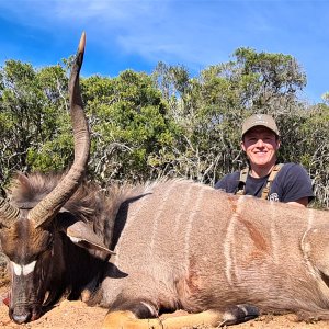 Hunting Nyala Eastern Cape South Africa