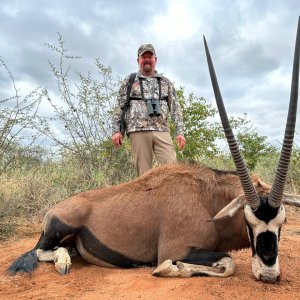 Gemsbok Hunt South Africa