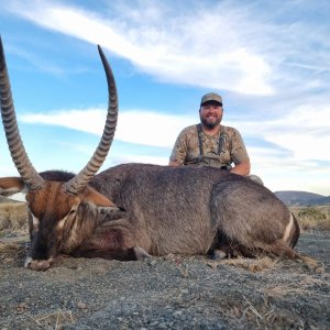 Waterbuck Hunt South Africa