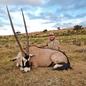 Gemsbok Hunt South Africa